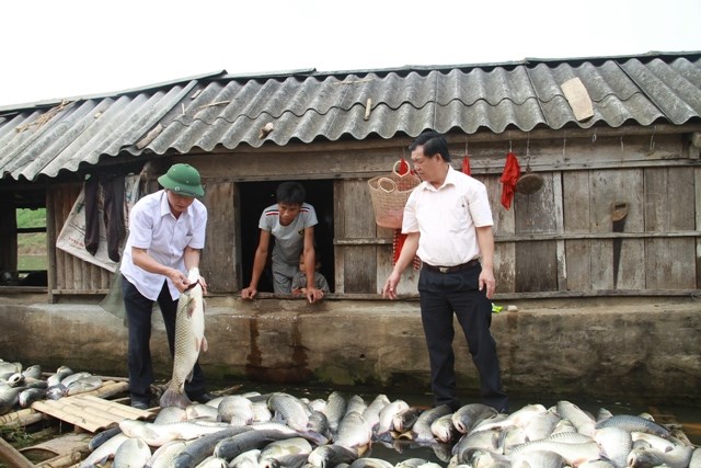 Huyện Thạch Thành, tỉnh Thanh Hóa bàn hướng hỗ trợ cho người nuôi cá lồng bè trên sông Bưởi. (11/5/2016)